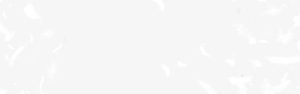 白色羽绒羽毛素材免抠标签元素