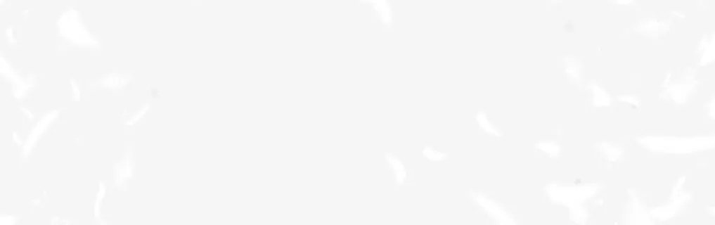 白色羽绒羽毛素材免抠标签元素