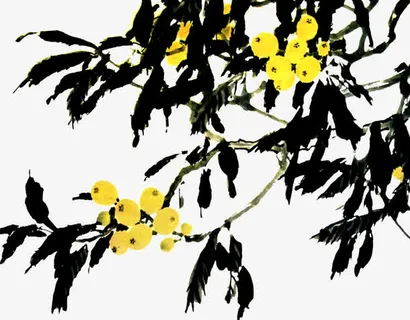 水墨画枇杷免抠