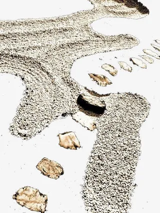 二十世纪浅白日本枯山水禅意庭院免抠