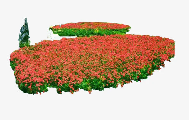 鲜花花坛免抠