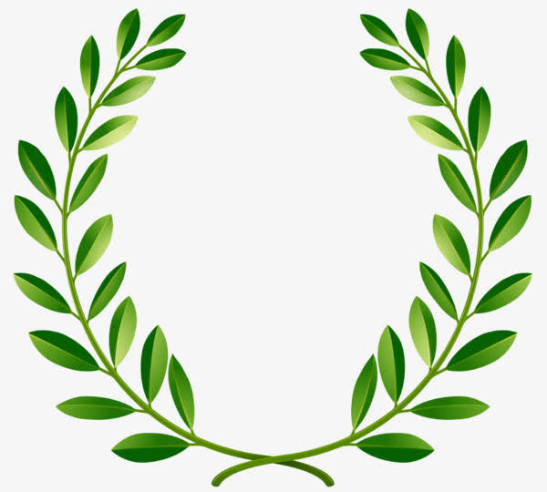 绿色和平橄榄枝免抠