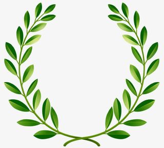 绿色和平橄榄枝免抠