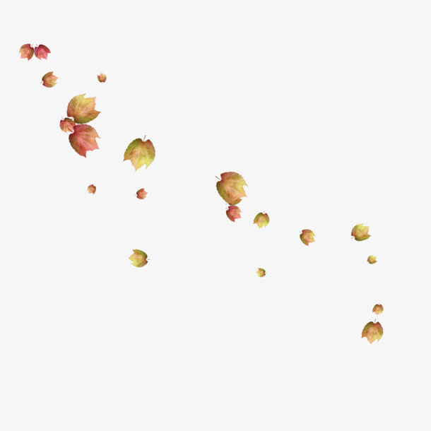 红色花瓣花朵标签免抠