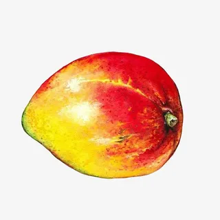 芒果手绘画素材图片免抠