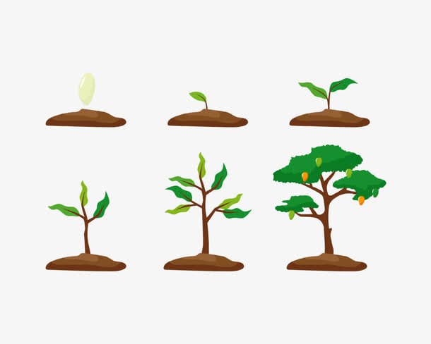 绿植成长之路免抠