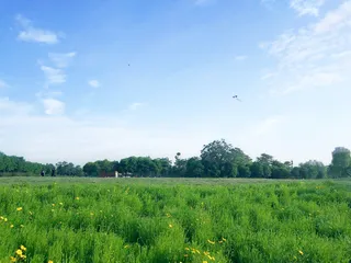 晴朗的天空和草地免抠