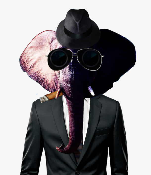 夏装革履的动物免抠