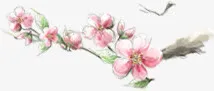 粉色文艺古风桃花树枝免抠