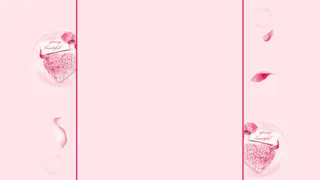 粉色花瓣固定背景高清