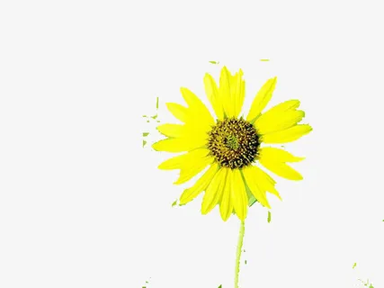 孤独一枝花免抠