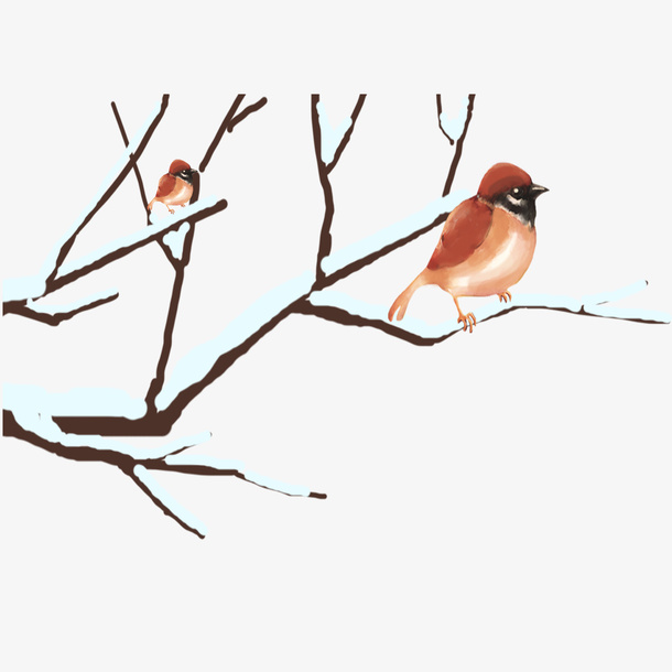二十四节气之小雪白雪的树枝小鸟免抠