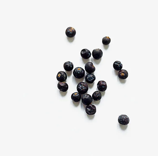 几颗散落的杜松子免抠