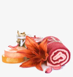 SPA美容元素免抠