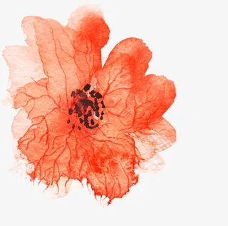 手绘花瓣装饰免抠