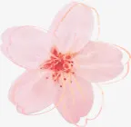 手绘花瓣花蕊花朵免抠