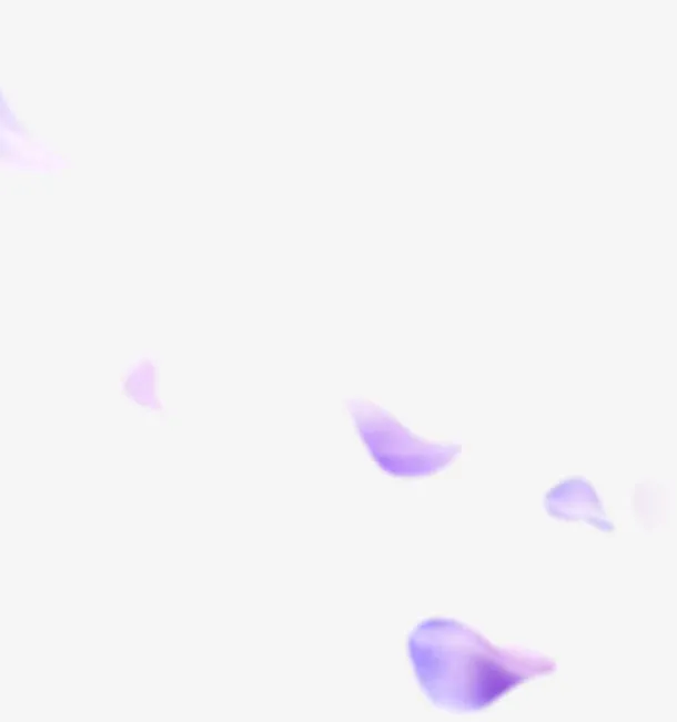淡紫色花瓣飘落免抠