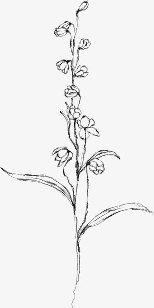 水墨花朵元素28免抠