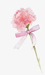 粉色水彩丝带花朵母亲节免抠