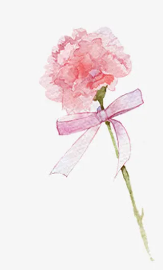 粉色水彩丝带花朵母亲节免抠