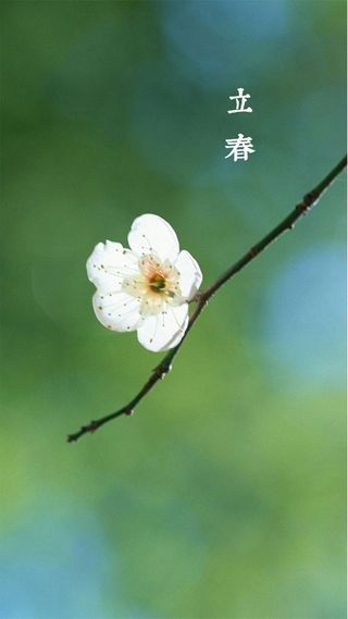 立春H5素材背景高清