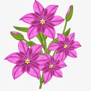 漂亮的海仙花免抠