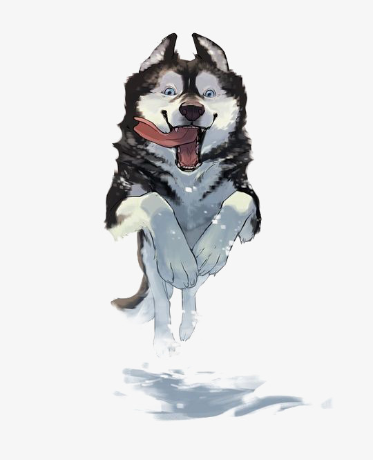 水彩哈士奇免抠
