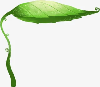 手绘绿色荷叶主页免抠