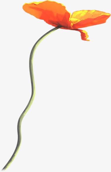 春天红黄色手绘花朵免抠
