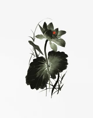 水墨荷花免抠
