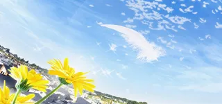 淘宝背景图高清