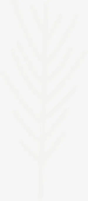 白色简约异形树枝免抠