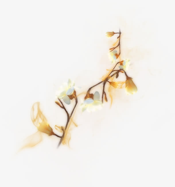 雾生花免抠
