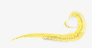 爱心金色星光七夕免抠