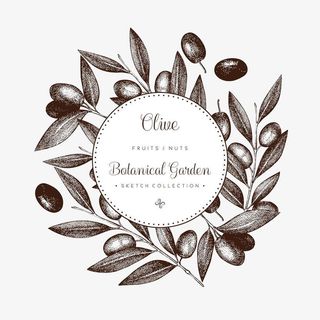 手绘黑色橄榄枝花环图标设计免抠免抠