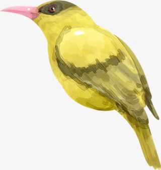 手绘风格小鸟指示牌免抠