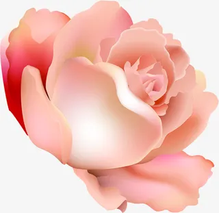 鲜花盛开喜庆婚礼展架图片免抠