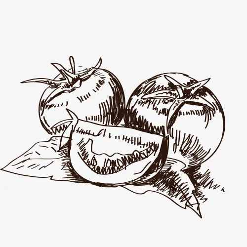 线稿蔬菜免抠