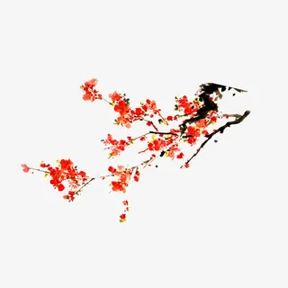 梅花免抠