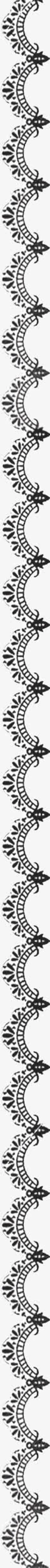 黑色精美花纹装饰春天免抠