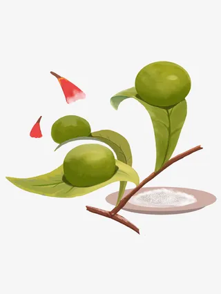 手绘青团植物免抠