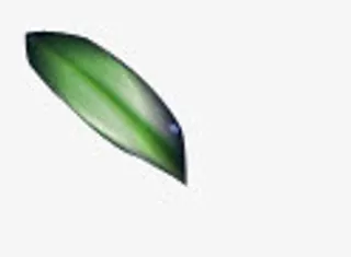 漂浮的绿叶免抠