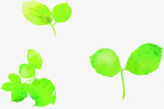 绿色卡通春天树叶手绘免抠
