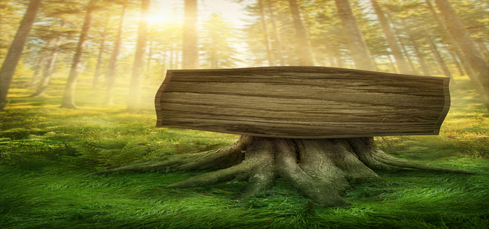 森林绿色木板背景高清