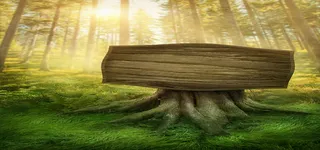 森林绿色木板背景高清