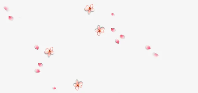 梅花花瓣漂浮免抠