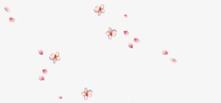 梅花花瓣漂浮免抠