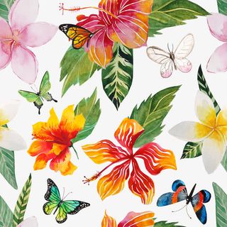 花卉植物底纹免抠