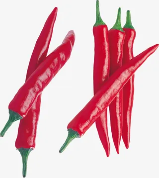 红辣椒png透明图片免抠