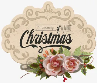 硬纸标签卡片免抠